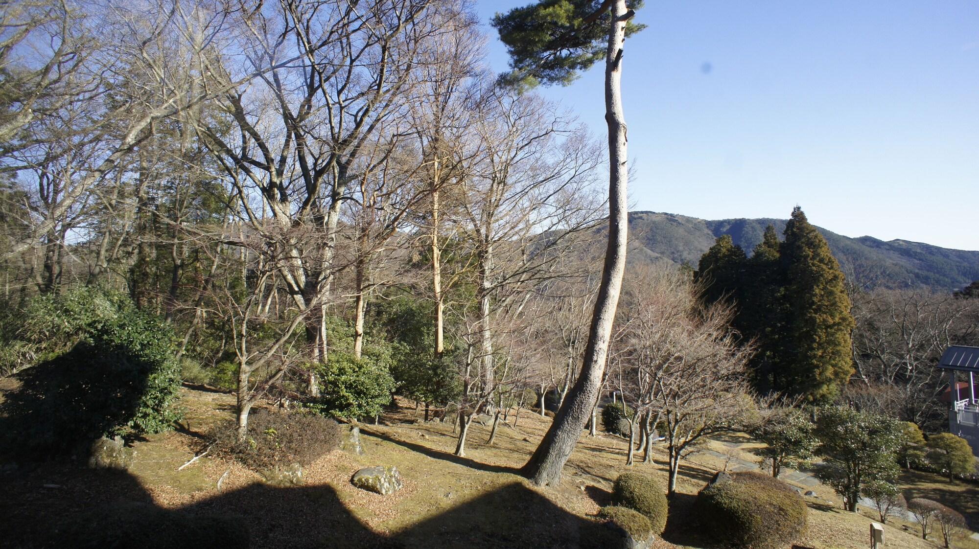 Hakone Forest Of Verde Dış mekan fotoğraf